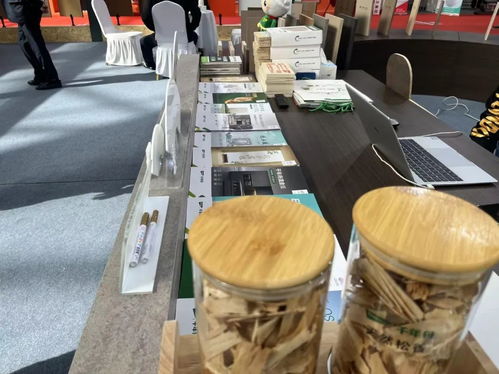千年舟哈尔滨展会纪实丨古韵今风,共绘家居新篇章