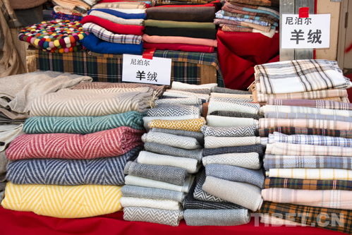 西藏拉萨 进口商品展销会为区域经济文化交流注入新活力