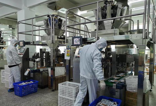 创二代来啦 兄弟同心,其利断金 父辈放心交棒,他们让这家休闲食品小工厂十几年来产值从百万到上亿